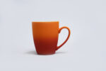 FA Orange Cup - FA Orange Cup