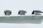 E.C121E-16 hair clip - مشبك شعر E.C121E-16