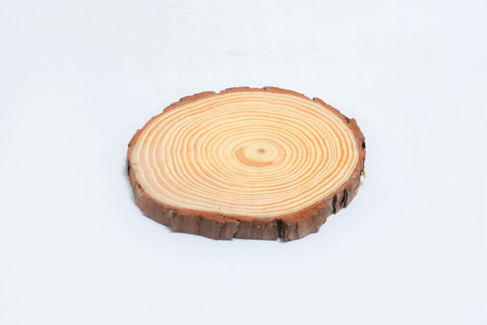 natural wooden slice 24001-51 - 24001 - 51 شريحة خشبية طبيعية