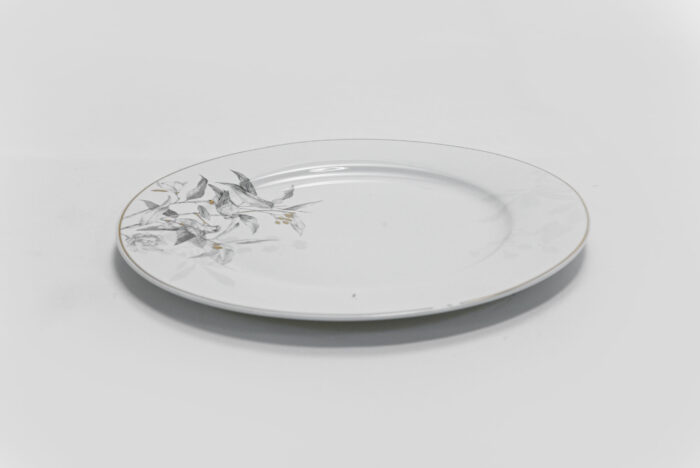 Elegant Round Dinner Plate SC3807 - طبق عشاء دائري أنيق SC3807 – أدوات مائدة متينة وأنيقة