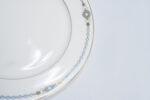 blue-edged dinner plate - طبق عشاء