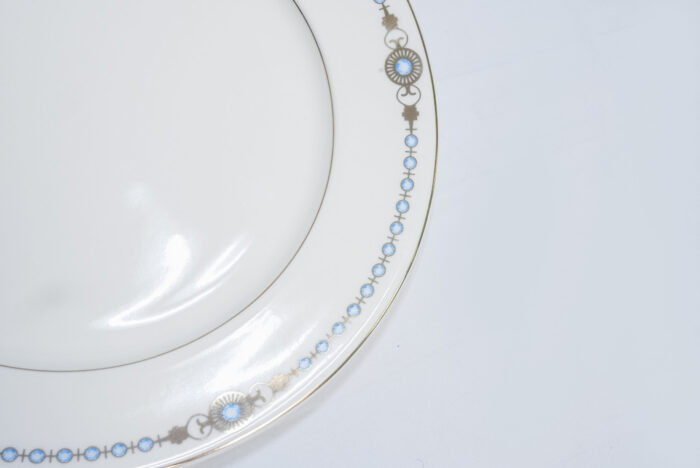 blue-edged dinner plate - طبق عشاء