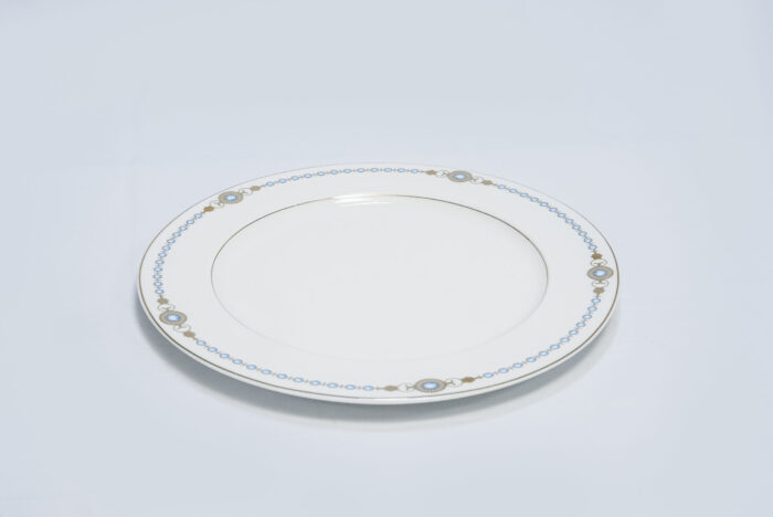 blue-edged dinner plate - طبق عشاء