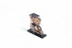 graduation bear gift box - BOX EA-625001