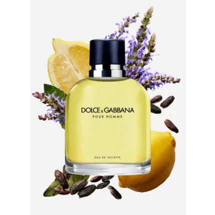 Dolce & Gabbana Pour Homme Eau de Toilette - Dolce & Gabbana Pour Homme Eau de Toilette