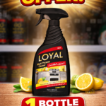 Loyal Multi-Purpose Cleaner - Loyal Multi-Purpose Cleaner, Lemon Scent, 750 ml bottle.